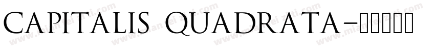 capitalis quadrata字体转换